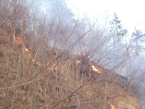Foto Incendiu la Chelinta (c) eMM.ro